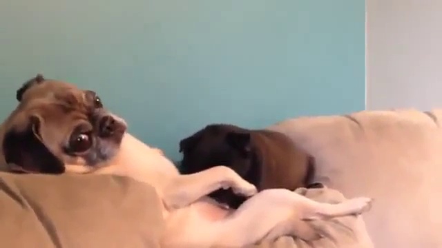 2262ea77c465c5e62df4095772bdece2