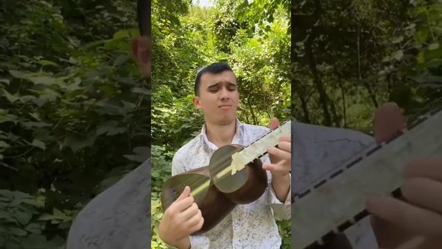 D09aad8165e8f5aca802fb2dd95cc155