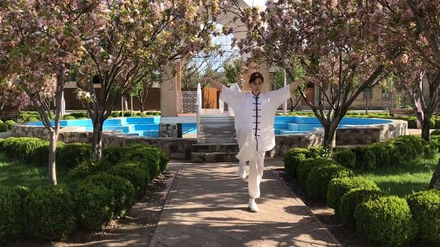 White Bird. Spring ?