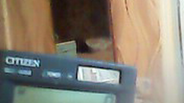 Распевка MOV0026A