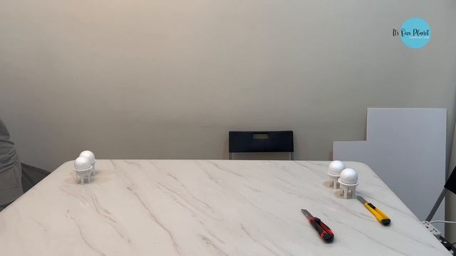 DIY | How To Make Tajmahal With Cardboard | Paper Craft | School Project | Its Our Planet | TAJMAHA