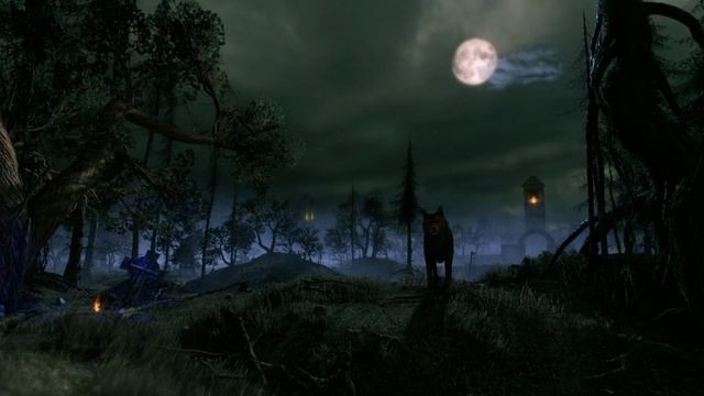 сфоткай мне новая интересная история на ночь