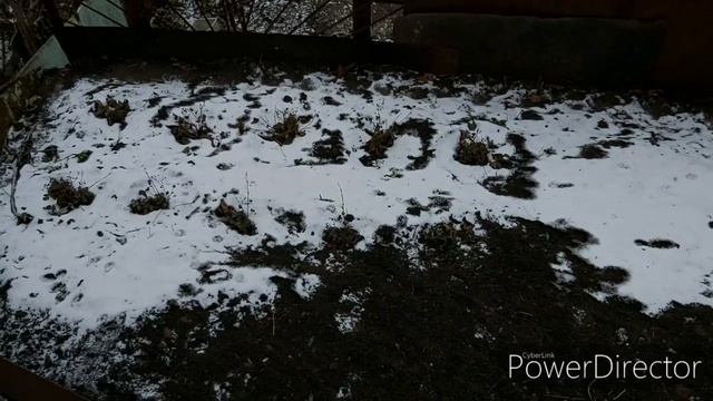 Видео выходного днявлоговое видео  поездка на фазенду и прогулка по фикс-прайсу
