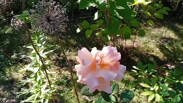 6ec17f38289296c92b65e1f5eed1216a