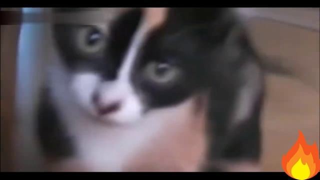 22898c3fc45785dea023dd21d32fdef1