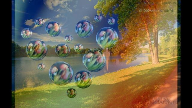 Сочинила музыку 