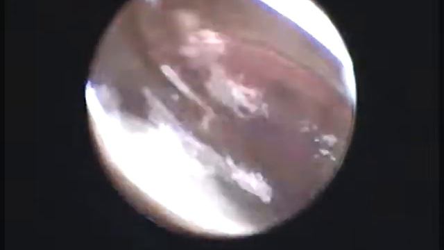 9a054e61a409f7ff1b9ec78f45cf7637