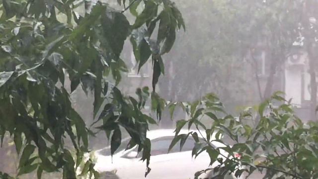 Ливень