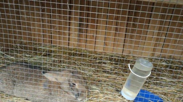 D66bfcf07374c89d643cbe462ca99062