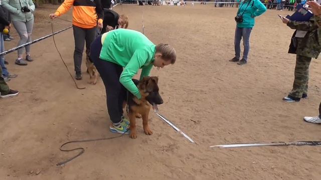 МШ Арий описание