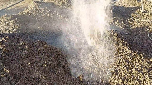 Foloseste-o La Plantat Ceapa Si Pentru A-i Creste Randamentul Si A O Proteja