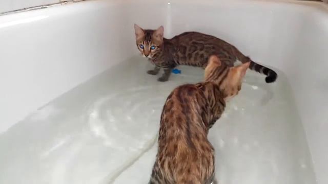 4fe2b4e54e41f3114f6006e694517b3c