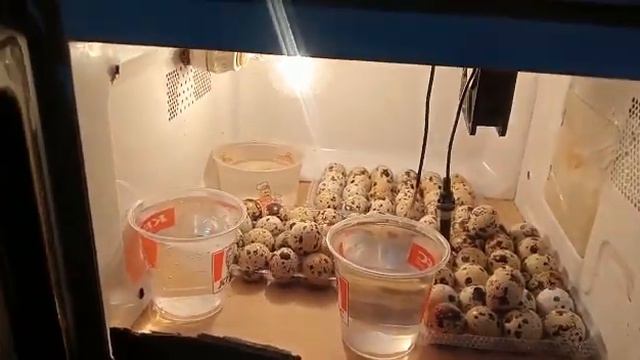 4287eb9e8aa90d6922130c7b52940bad