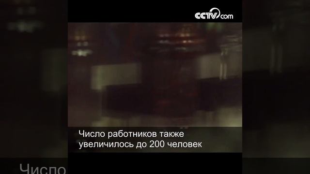 Тао Хуаби основала марку 