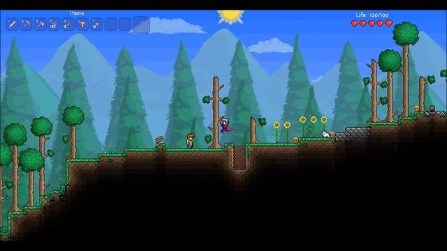 Terraria On Netbook 2013