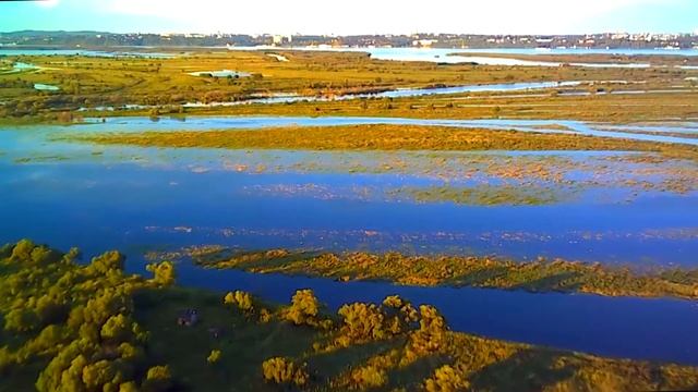 Хабаровск. Наводнение 2022. Остров  Дачный. 4 метра.