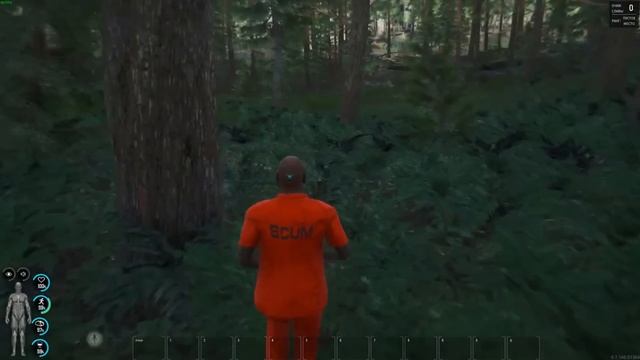 Survival Island: Выживание