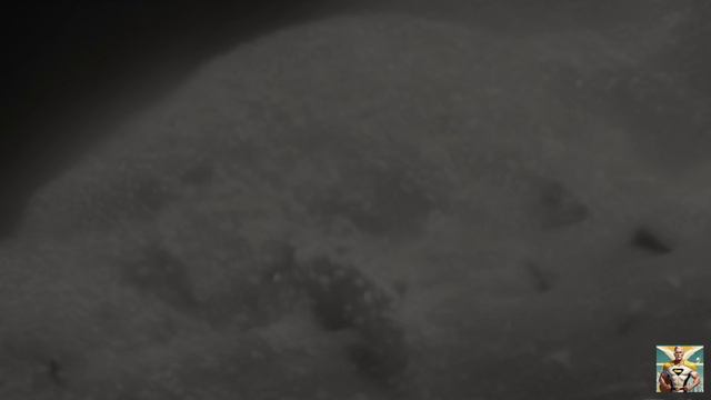 CAPTAIN BANANA - Lost In The Overload