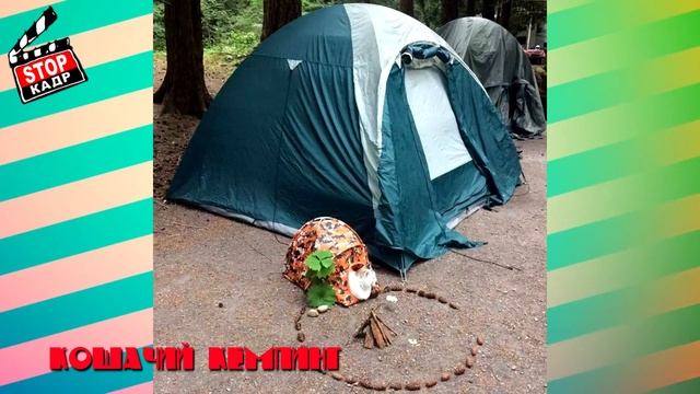 Мы живем в мире, полном Безумия и Абсурда!