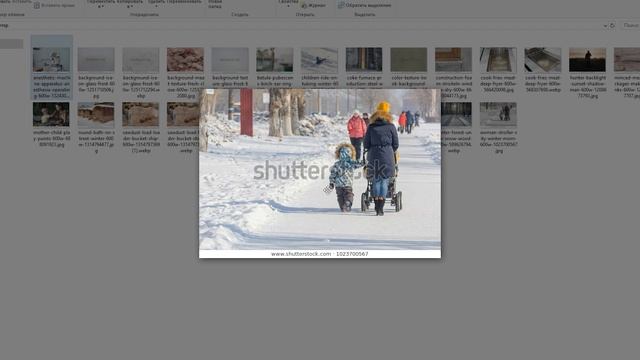 Заработок на фотобанках. Годовой отчёт по стокам 2019.