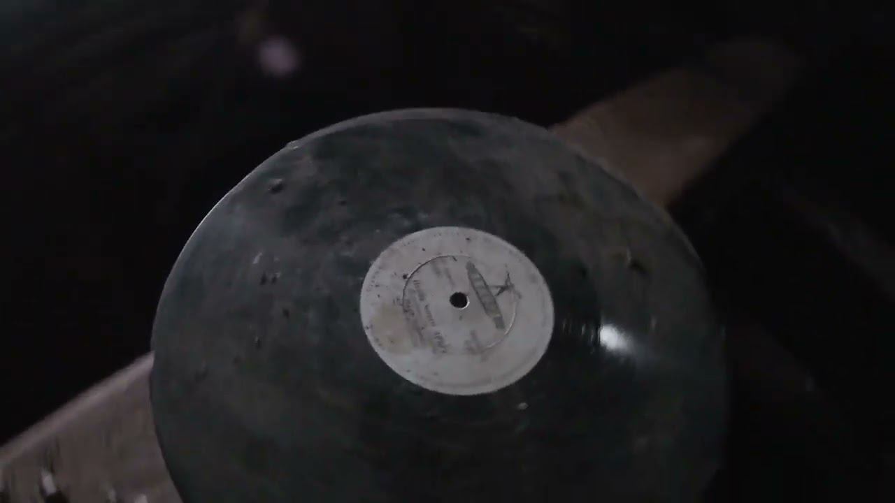 Ярославская облать. Остатки деревень Кузьминское и Починок.