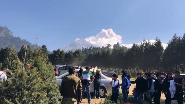 0122377e74a100b1c8345c94fd7b42bd