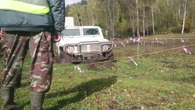 Охота на лис 2016. Тигры