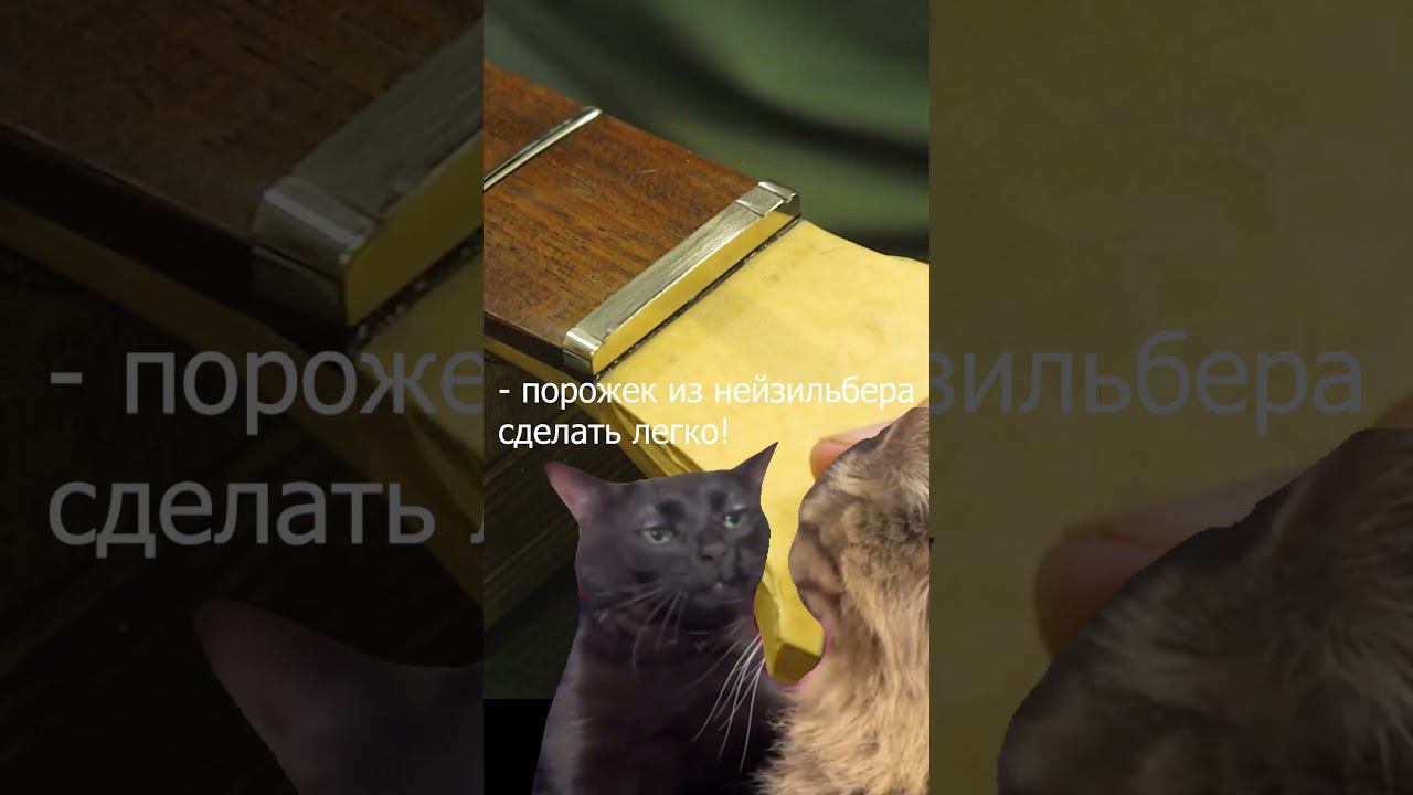 Весь гитарный мир был потрясён, когда стало известно, что порожки можно делать из ...