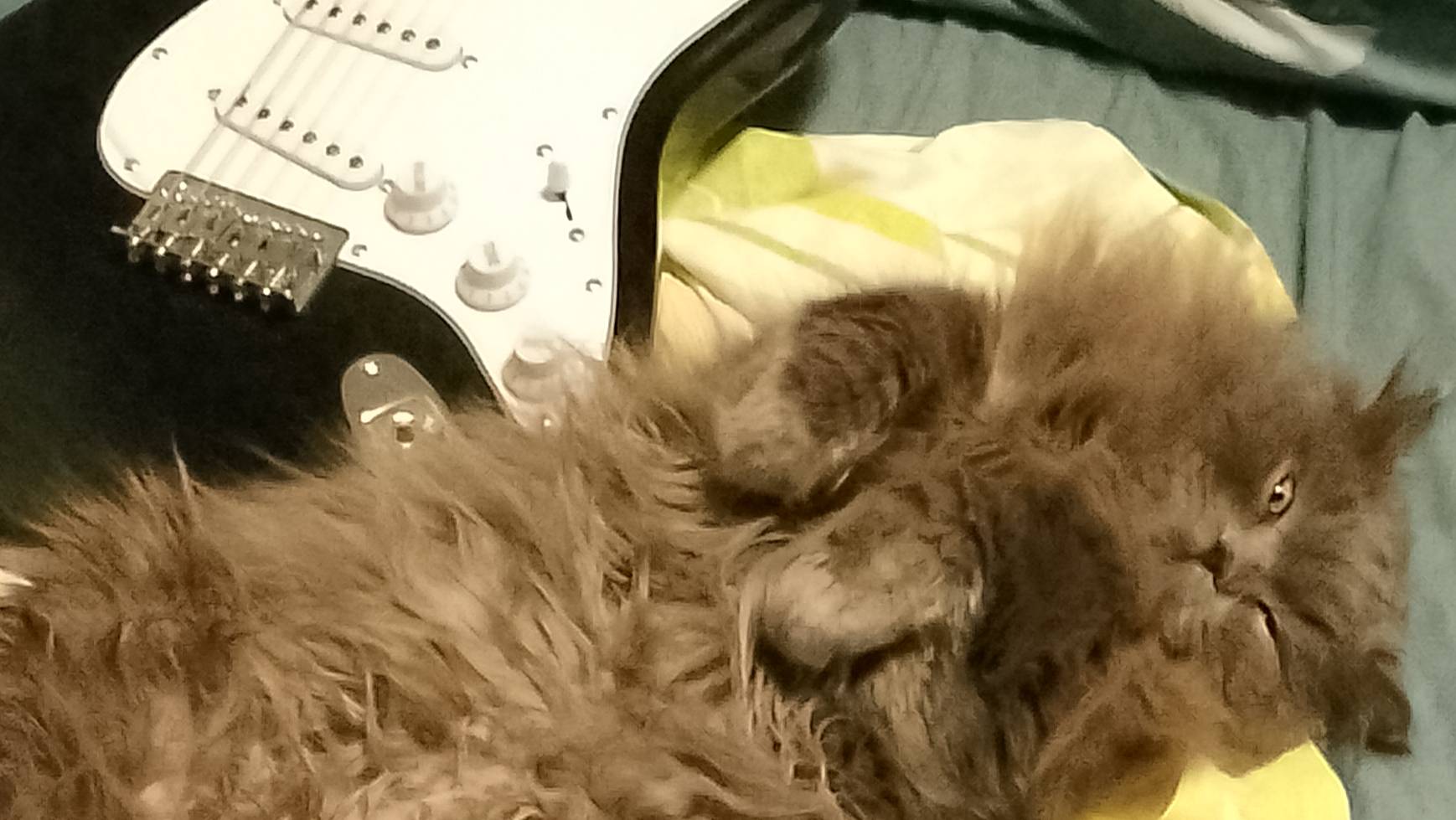 посвящение