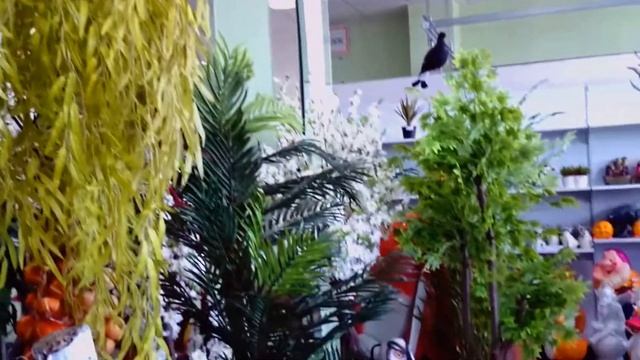 Искусственные деревья СПБ Декоративные купить для интерьера квартиры ландшафта сада дачи дома