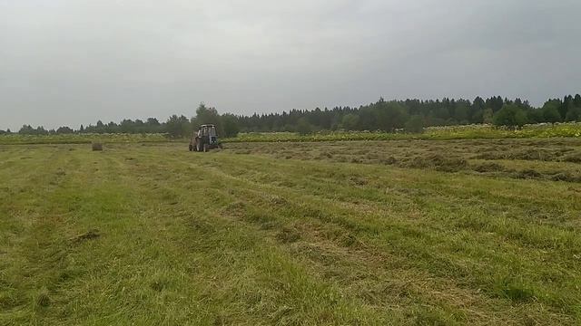 МТЗ-82  на сенокосе 🚜🚜🚜