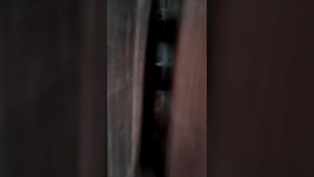 Друг спалился щель в двери