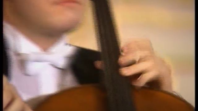Dvorak Cello Concerto Op.104 2nd Mov  Rivinius