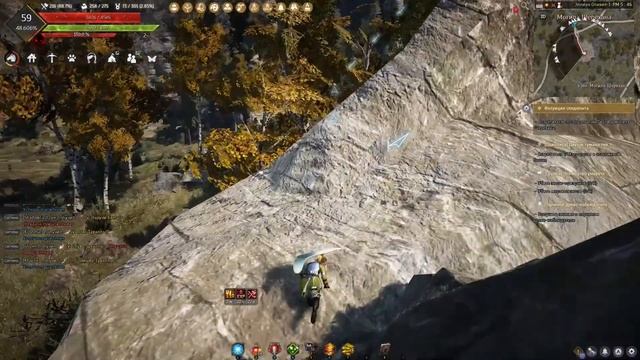 Black Desert Задание: Интуиция следопыта