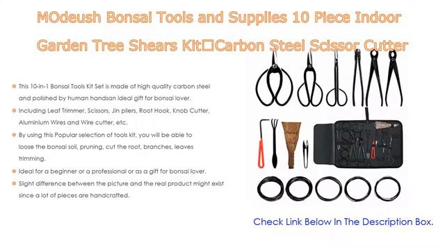Top 5 Best Bonsai Tools Reviews With Scores
