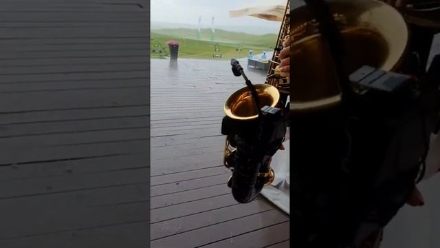 Elena Danik Sax - Останусь