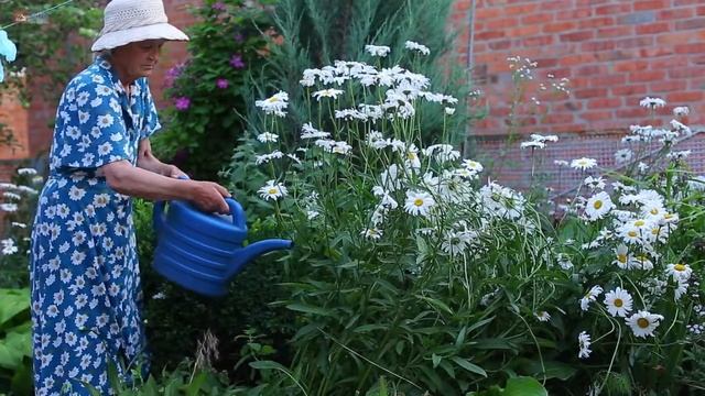 Знаете ли Вы, что Панама – это рай для проживания на пенсии?