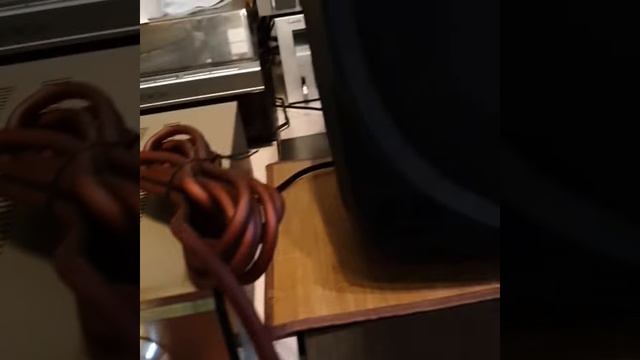 Караоке Bluetooth усилитель Mp3 плеер ZIC. Проверка для клиента.