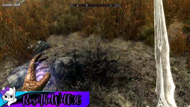 Stream - March 12, 2024 - Elder Scrolls V: Skyrim