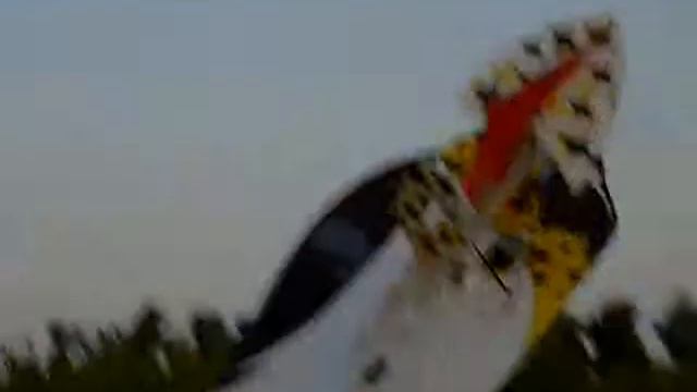 Вечерние полеты.