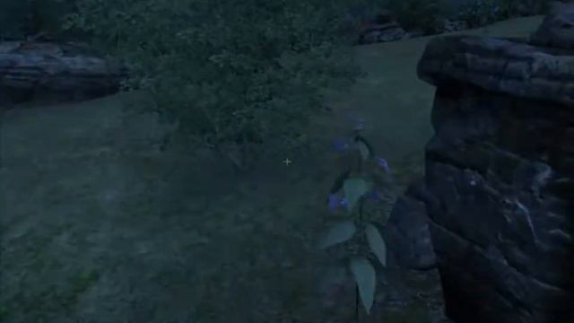 Let's Play Oblivion 83B: Rendering Failure