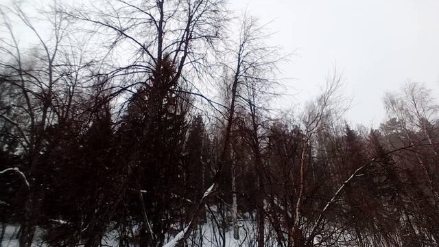 4ba1e1f996ba4887e0fe7a06bc0fddef