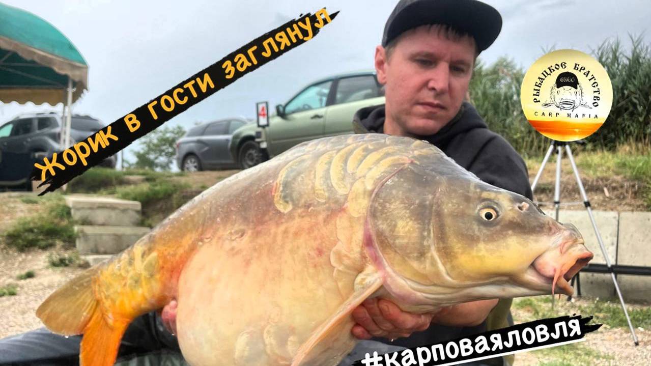 ОХОТА ЗА ЖОРИКОМ 17.08.2024