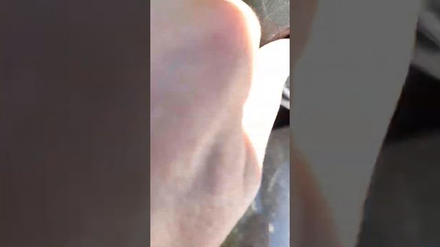 Мастерская Талантов