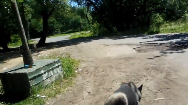 62688f9c004a3a9138cabf5ea210244d