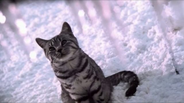 A752792aa27715a8b691fcc743a61ea5