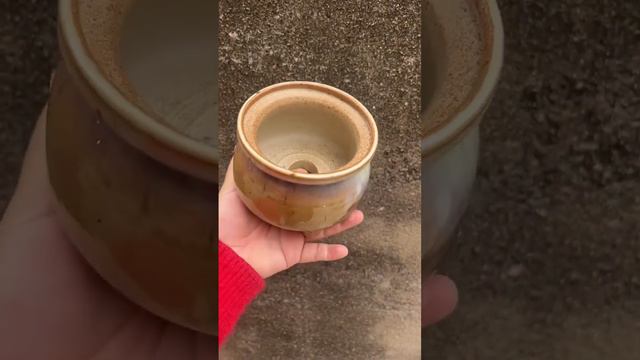 Succulents Pots Handmade Jingdezhen