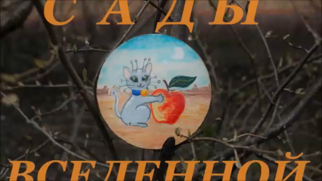 Backstage Of Project 