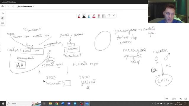 378dbdd2d1d7f431f76265333a8137ce