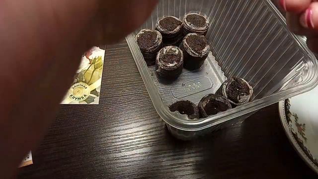 Сею эустому